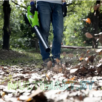 Воздуходувка Greenworks G40AB (без АКБ) картинка 6